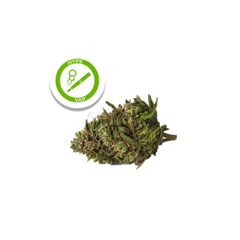 Fleur de CBD Paradise Seeds...