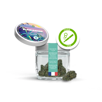 Fleur de CBD Paradise Seeds...