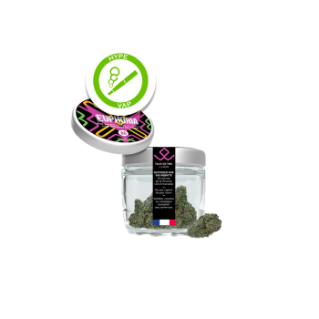 Fleur CBD Euphoria 8g Satyva – indoor