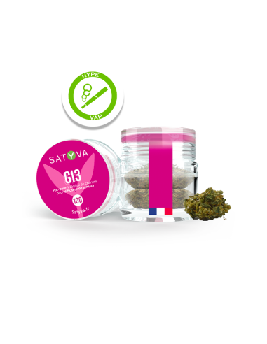 Fleur de CBD Indoor G13 - 10 grammes