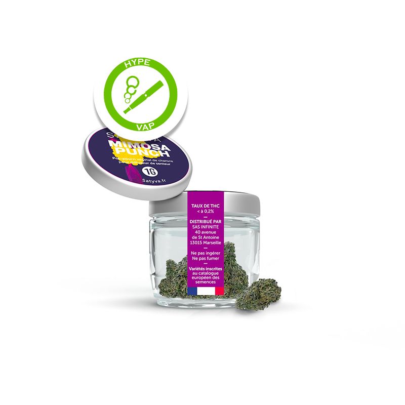Satyva - Fleur de CBD Indoor Mimosa Punch 1 g Satyva - Fleur de CBD Indoor Mimosa Punch 1 g